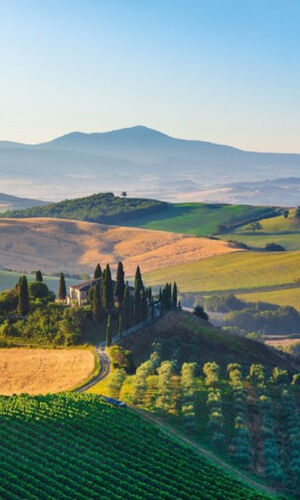 Pienza e Montepulciano: Tour del vino di un'intera giornata da Firenze