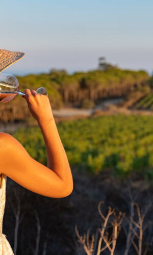 Degustazione di vini e visita alla cantina dell'autore