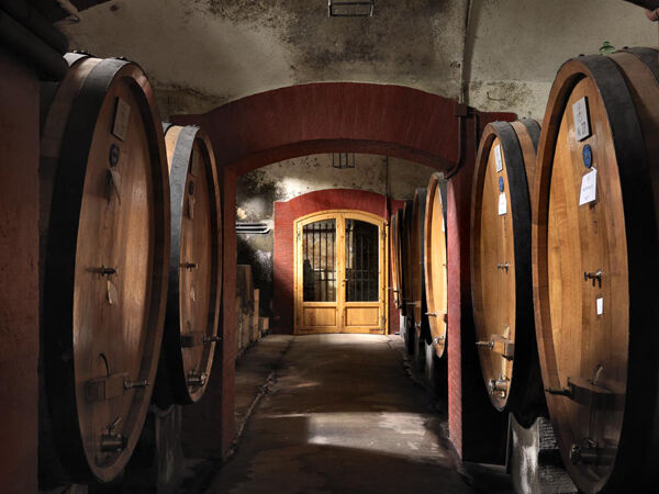 Chianti Safari: Tour do vinho da Toscana fora da estrada a partir de Florença