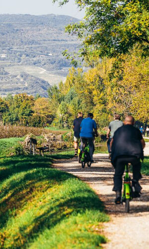 Tour in bicicletta del vino Amarone in Valpolicella