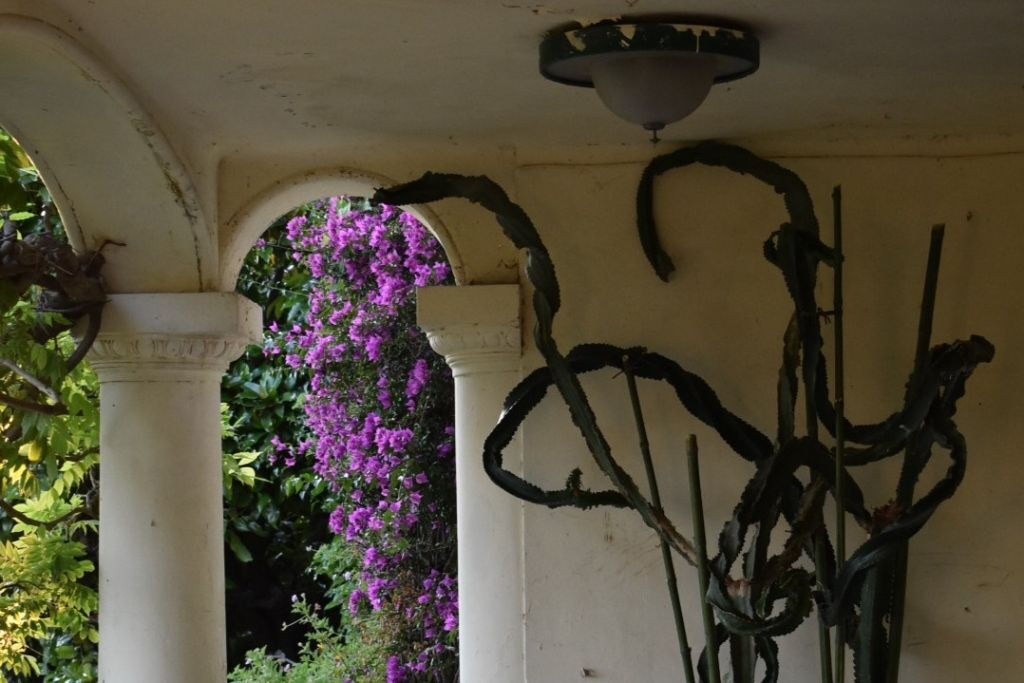 Villa Rezzola: Entry Ticket