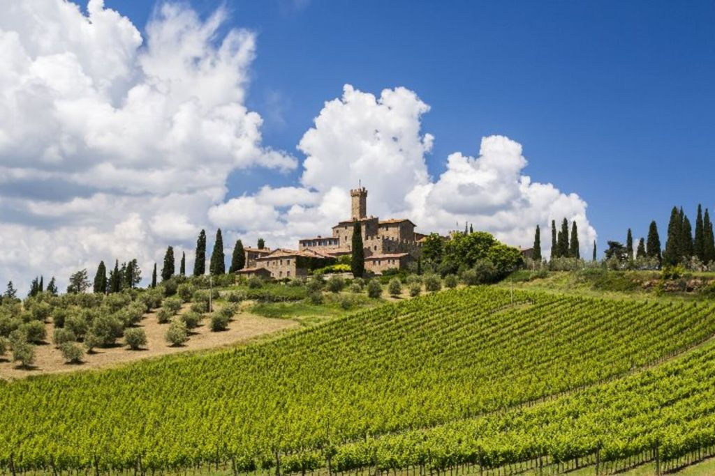 Chianti, Montalcino e San Gimignano: degustação de vinhos + passeio de um dia saindo de Siena
