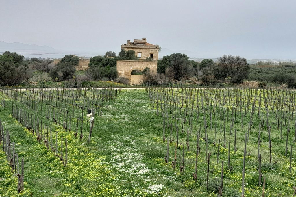 From Palermo: Day Trip to Erice + Sicilian Lunch + Granita Tasting + Salt Route