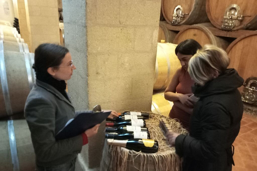 From Palermo: Day Trip to Erice + Sicilian Lunch + Granita Tasting + Salt Route