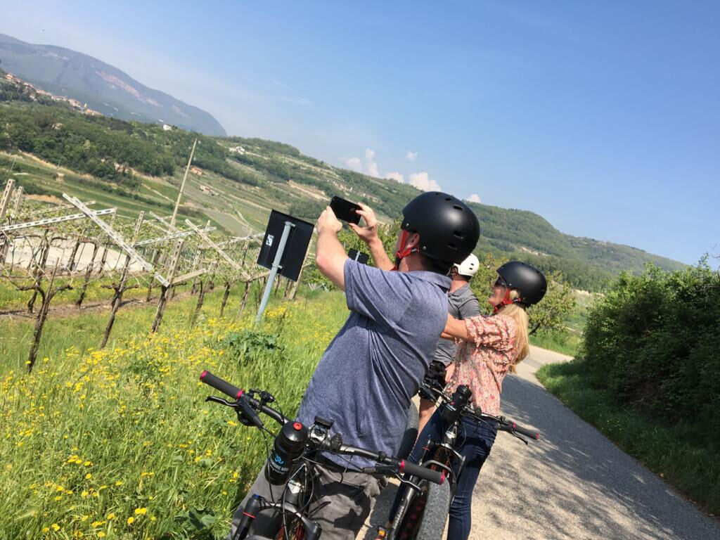 Viñedos de Valpolicella: Tour en bicicleta eléctrica con cata de vinos