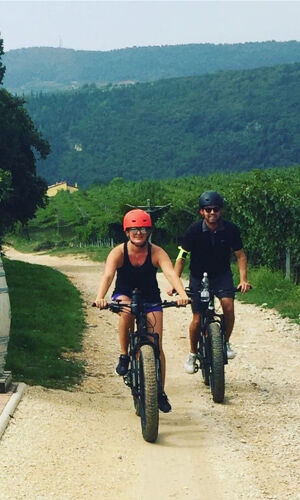 Vigneti della Valpolicella: Tour in e-bike con degustazione di vini
