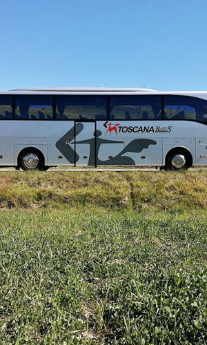Roma: Autobus da/per l'aeroporto di Fiumicino e Orbetello