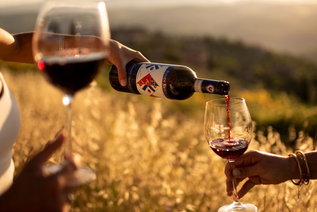 Siena: Cata clásica de vino y aceite en un viñedo de la Toscana