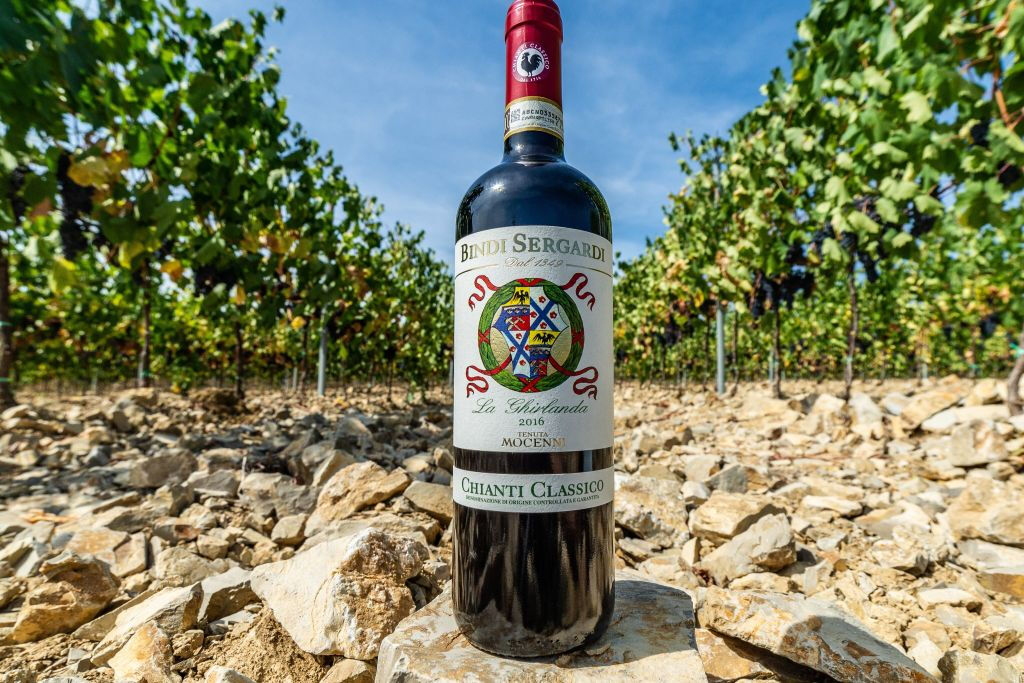 Siena: Cata clásica de vino y aceite en un viñedo de la Toscana