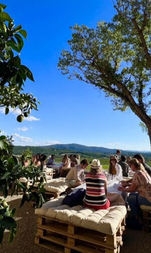Chianti: tour delle aziende vinicole con degustazioni + escursione pomeridiana da Firenze