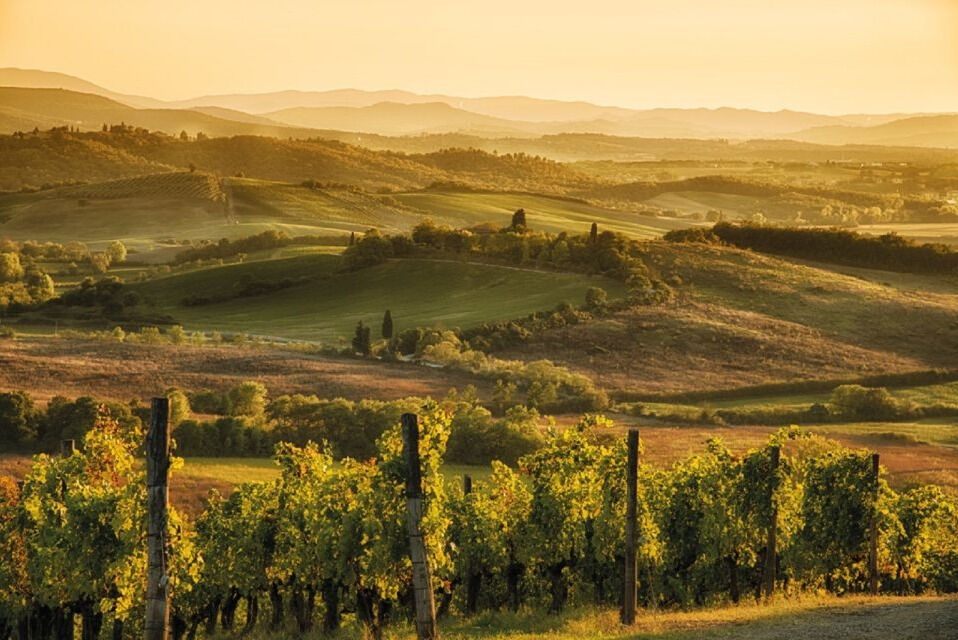 Chianti: excursão às vinícolas com degustações e passeio de um dia à tarde saindo de Florença