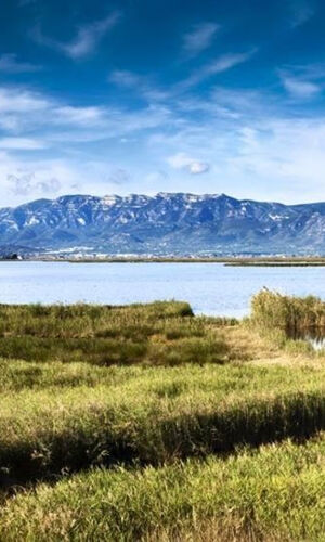 Saboreando el Delta de L'Ebre