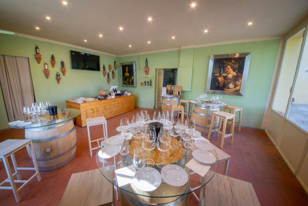 Chianti: Cata de vino y aceite de oliva con visita guiada + ida y vuelta desde Florencia