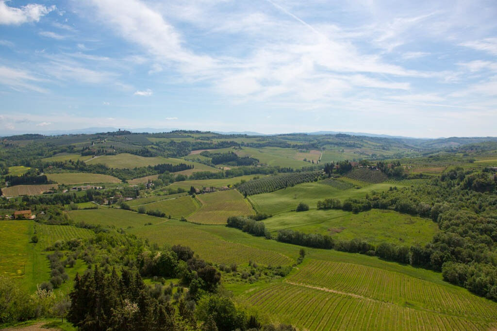 Chianti: Cata de vino y aceite de oliva con visita guiada + ida y vuelta desde Florencia