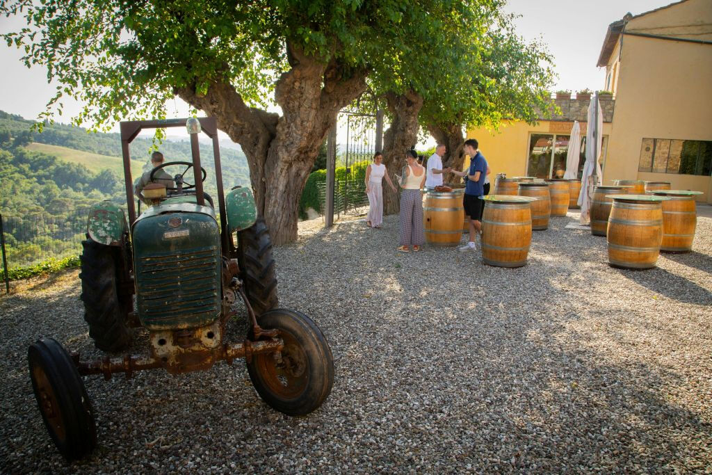 Chianti: Cata de vino y aceite de oliva con visita guiada + ida y vuelta desde Florencia