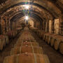 Chianti: Cata de vino y aceite de oliva con visita guiada + ida y vuelta desde Florencia