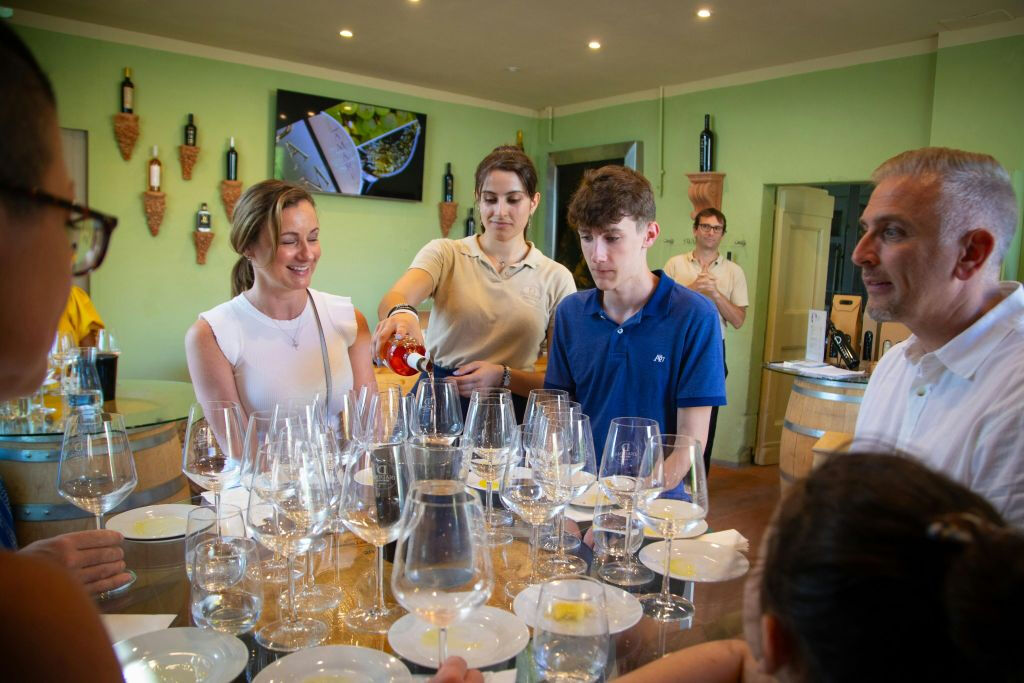 Chianti: Cata de vino y aceite de oliva con visita guiada + ida y vuelta desde Florencia