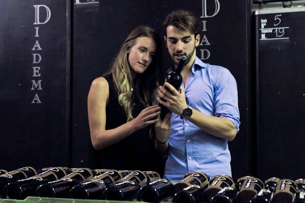 Chianti: Cata de vino y aceite de oliva con visita guiada + ida y vuelta desde Florencia