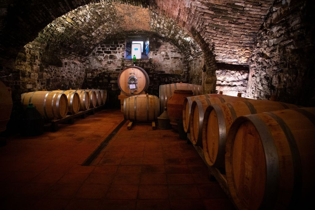Chianti: Cata de vino y aceite de oliva con visita guiada + ida y vuelta desde Florencia