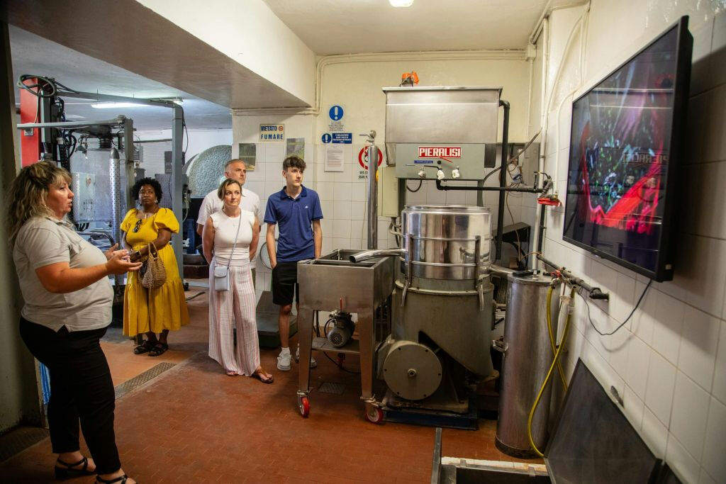 Chianti: Cata de vino y aceite de oliva con visita guiada + ida y vuelta desde Florencia