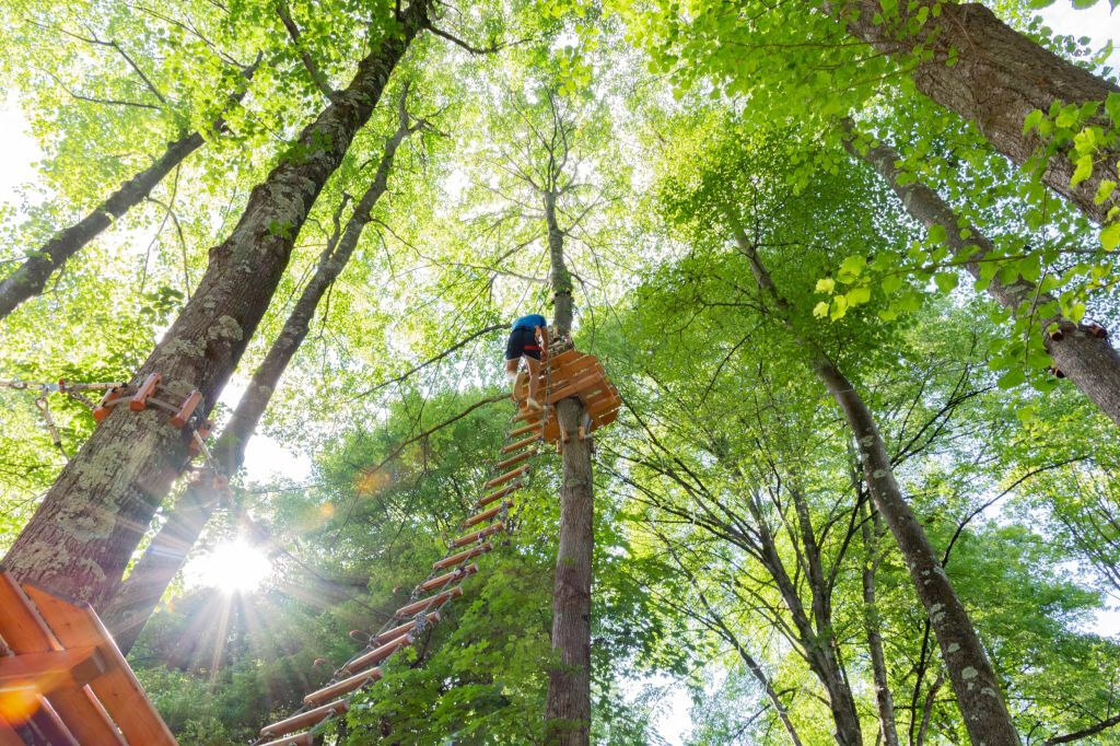 Lake Como Adventure Park Day Access