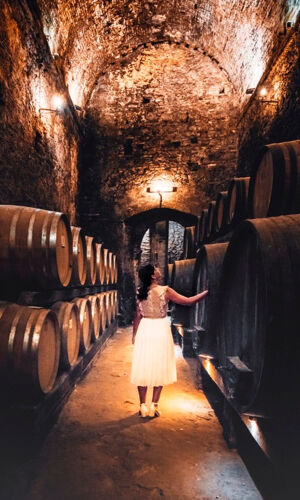 Montepulciano: Tour di degustazione in due cantine storiche