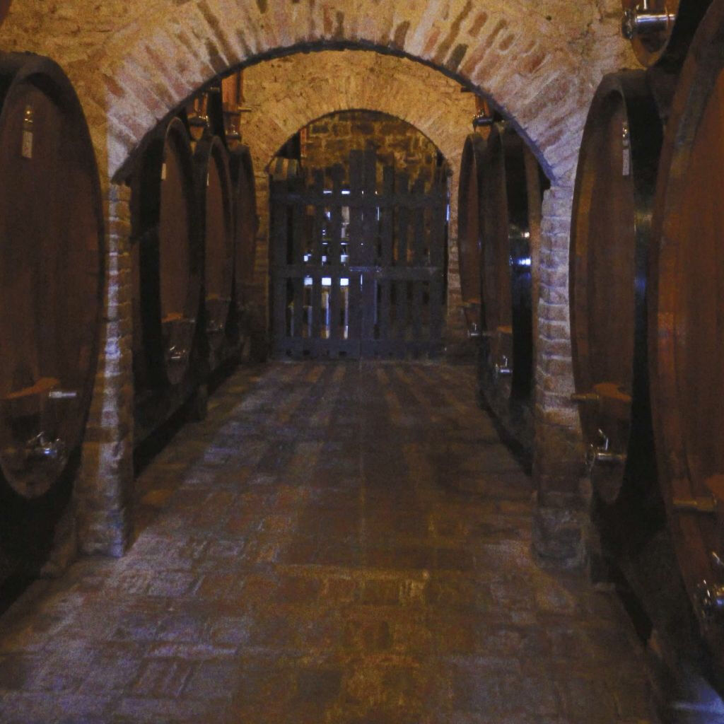 Montepulciano: Tour de degustação de vinhos em duas adegas históricas