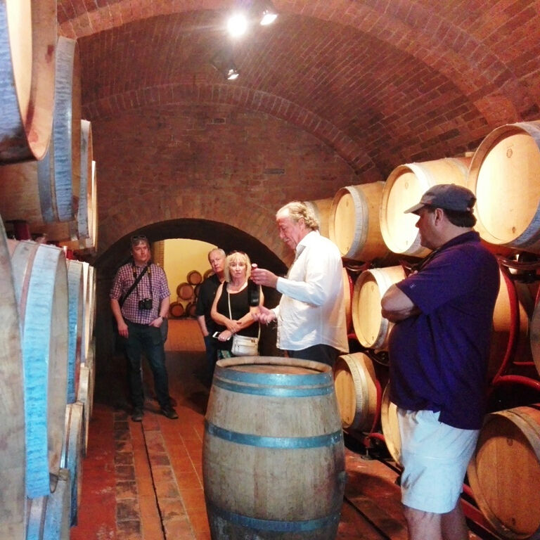 Montepulciano: Tour de degustação de vinhos em duas adegas históricas