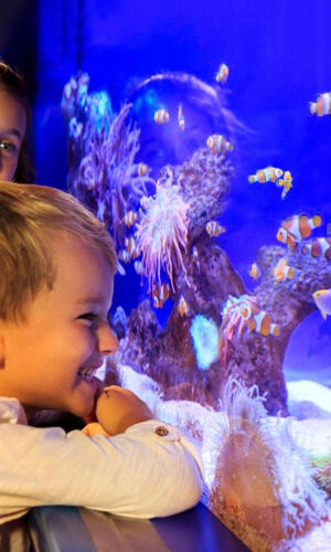 Palma Aquarium 