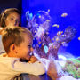 Palma Aquarium