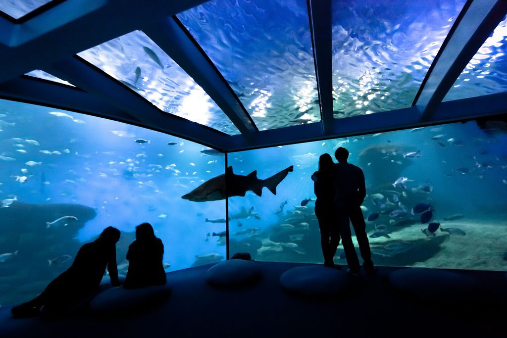 Palma Aquarium 