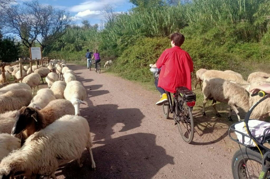 Appia Antica e Aquedutos Romanos: Passeio guiado de E-Bike
