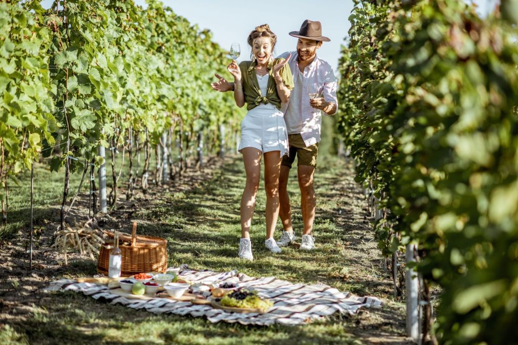 Vinhedo de Montelpulciano: Degustação de vinhos + piquenique