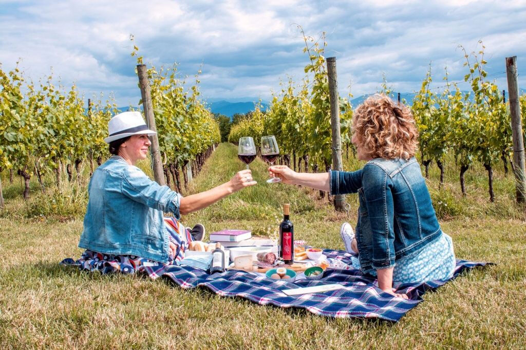 Vigneto di Montelpulciano: Degustazione di vini e picnic