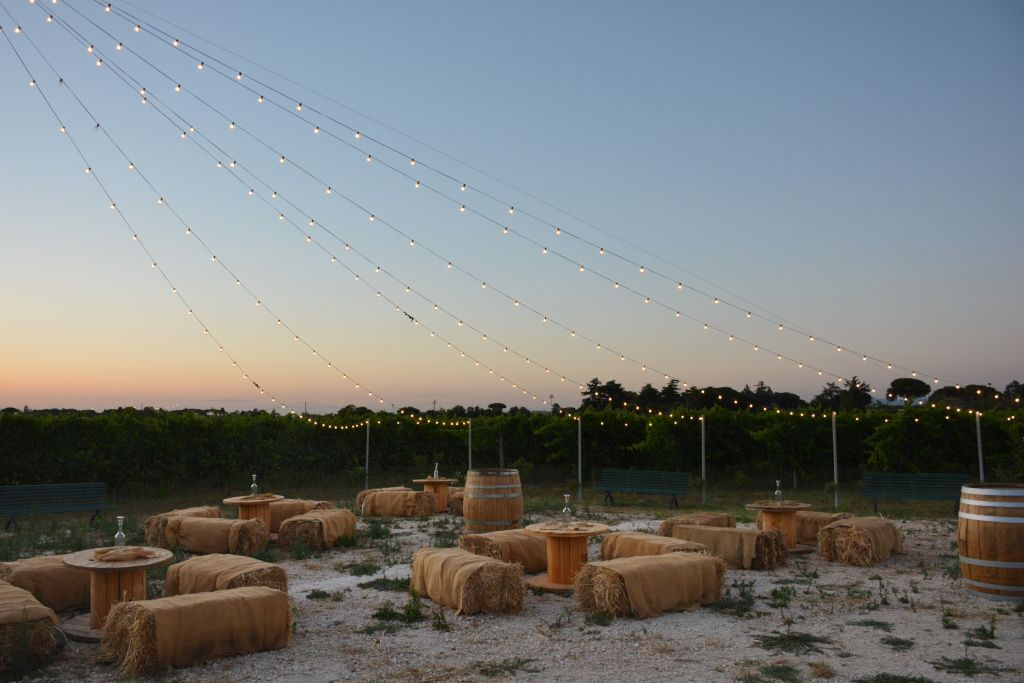 Vinea Lucens: Immersive Vineyard Show