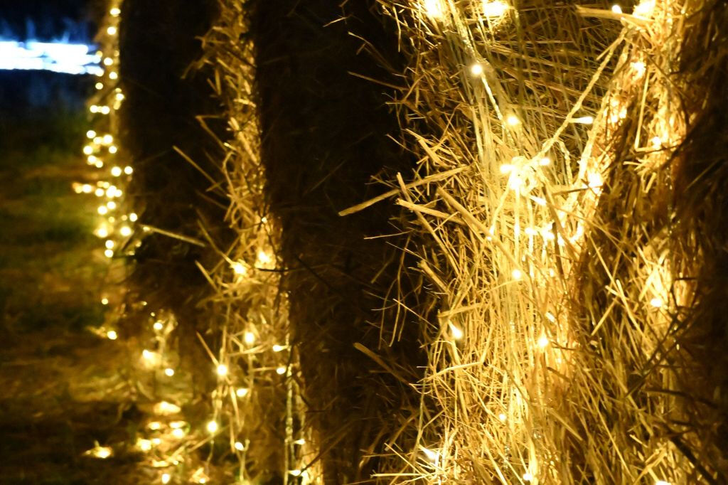 Vinea Lucens: Immersive Vineyard Show