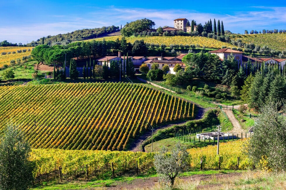 Visite du vignoble et du château du Chianti avec dégustation de vin