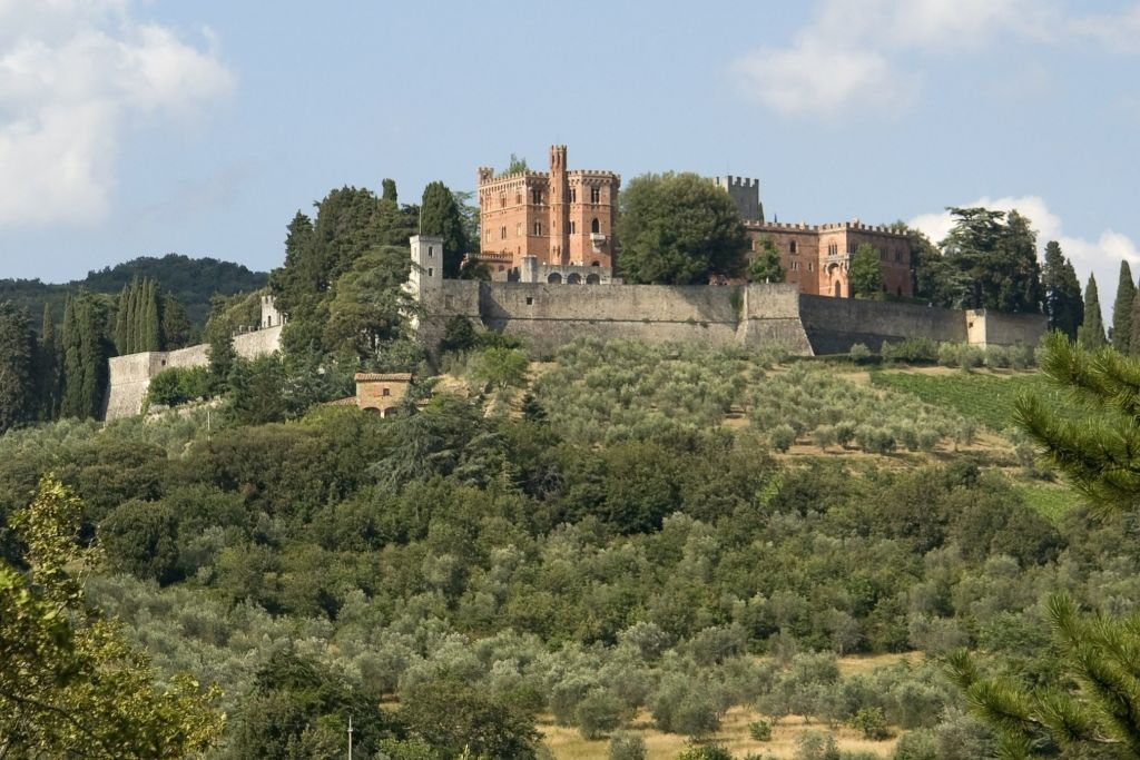 Tour dei vigneti e del castello del Chianti con degustazione di vini