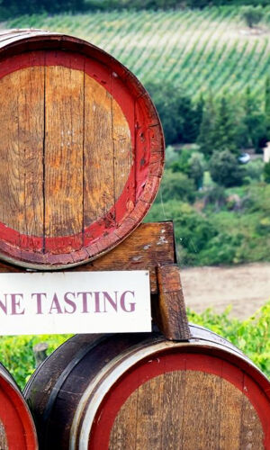 Tour dei vigneti e del castello del Chianti con degustazione di vini