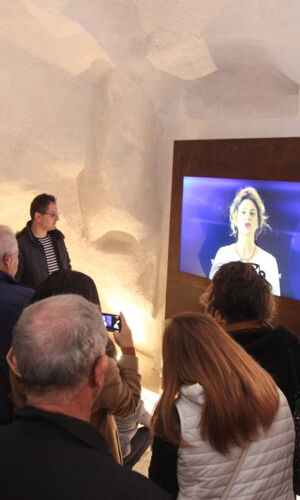 Museo Immersivo della Bruna: Biglietto d'ingresso