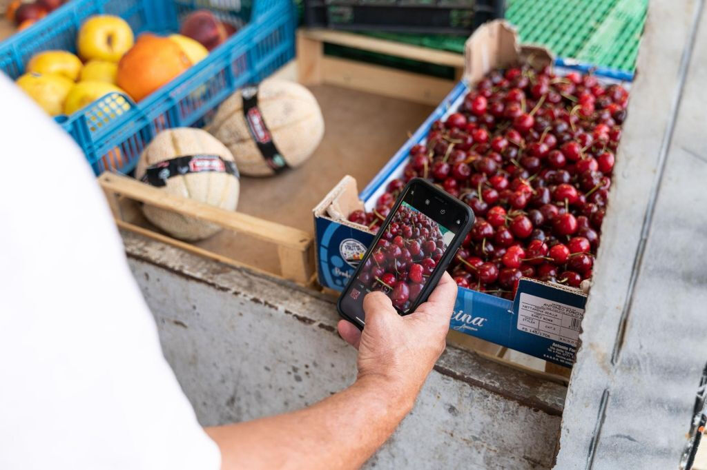 Sorrente : Marché et cours de cuisine chez l'habitant