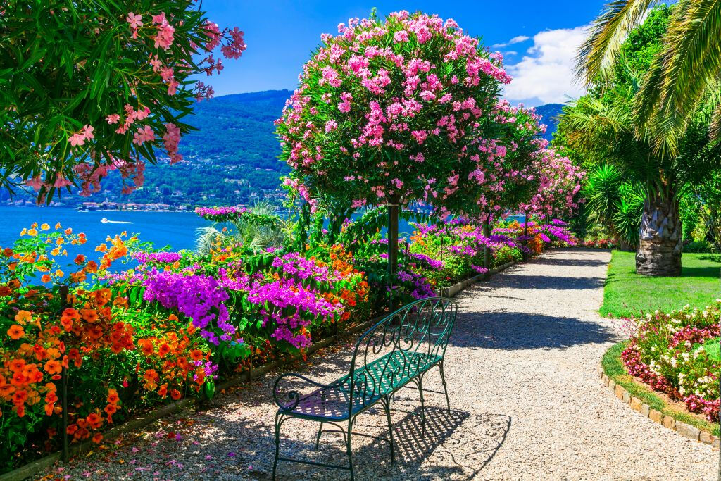 Lake Maggiore: Daytrip from Milan