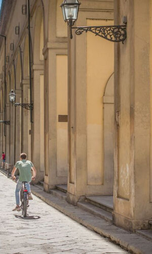 Tour in bici elettrica di 2 ore delle colline di Firenze con gelato
