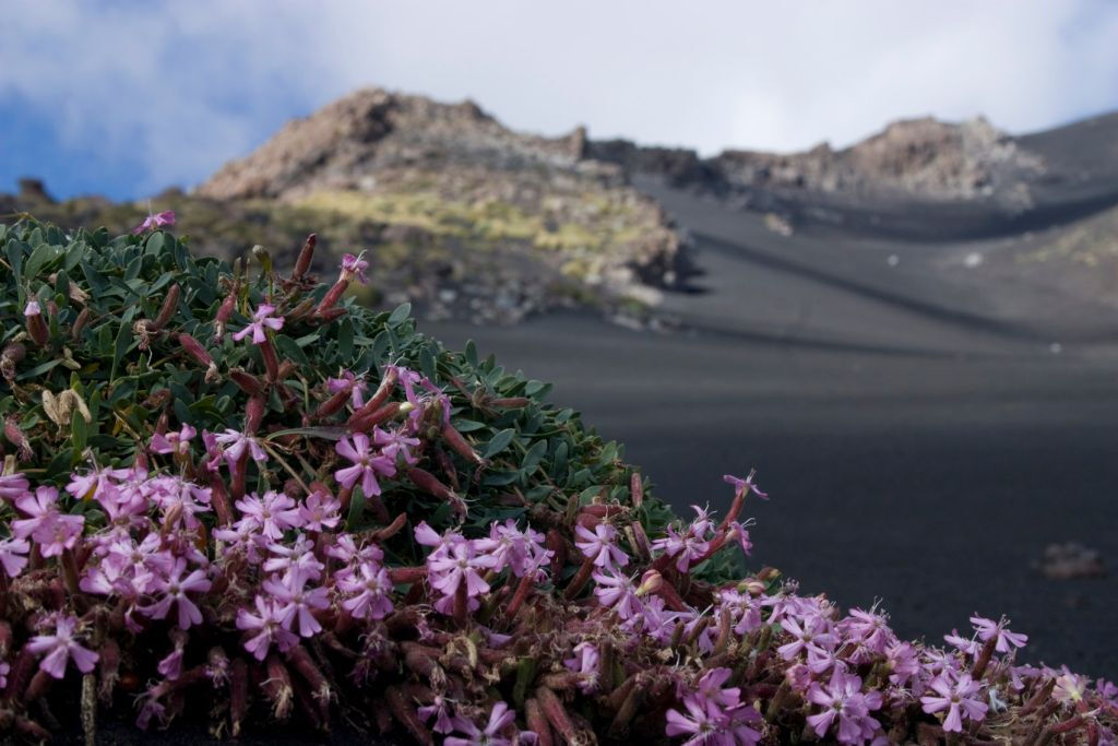 Monte Etna e Grotta della Lava: Tour guidato