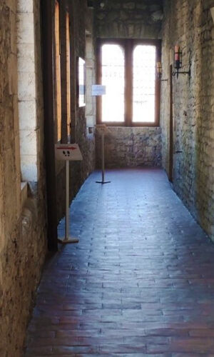 Palazzo Bonifacio VIII ad Anagni: Biglietto d'ingresso