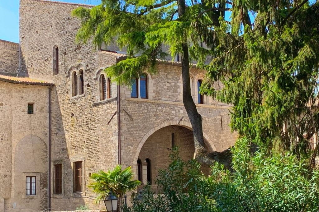 Palazzo Bonifacio VIII ad Anagni: Biglietto d'ingresso