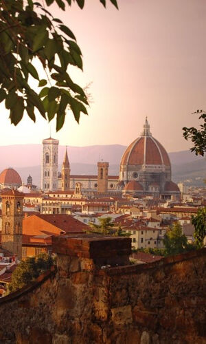 Firenze: Tour guidato a piedi + viaggio di andata e ritorno da Roma