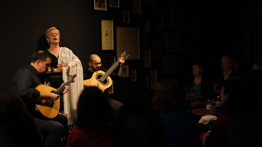 Porto: Traditional Fado Concert