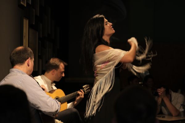 Porto: Traditional Fado Concert