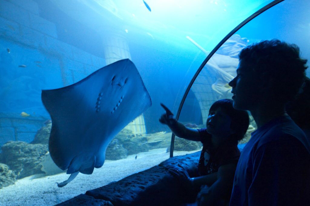 SEA LIFE Porto